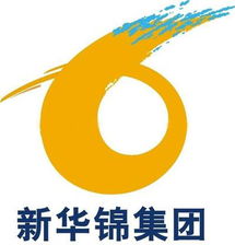 高效貿(mào)易橋梁 山東新華錦國際商務(wù)集團的專業(yè)代理代辦服務(wù)